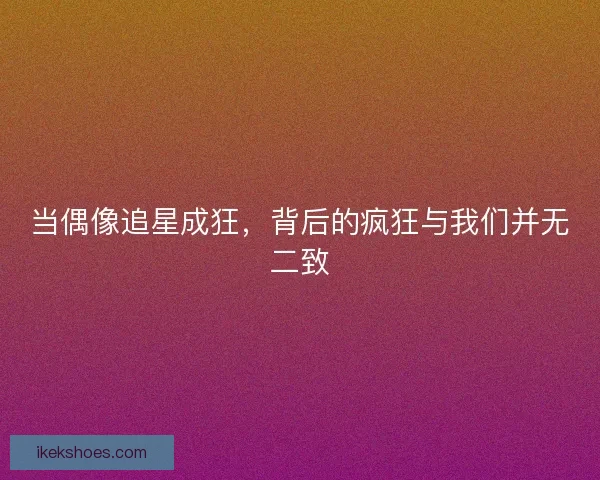 当偶像追星成狂，背后的疯狂与我们并无二致